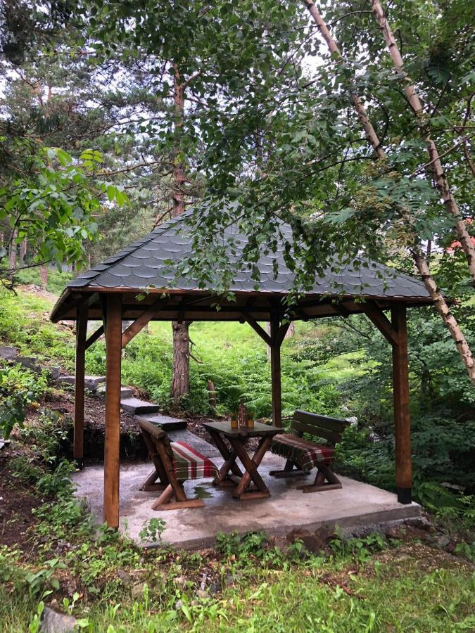 Veselica Villa Divčibare Екстериор снимка