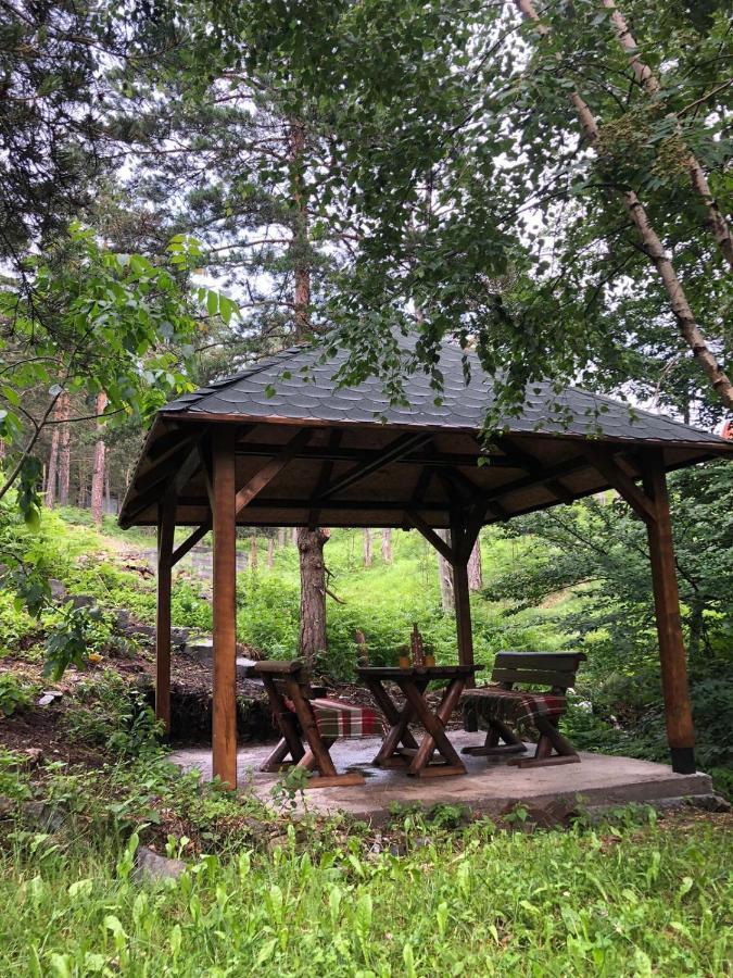 Veselica Villa Divčibare Екстериор снимка
